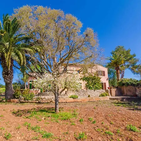 Rito Villa *